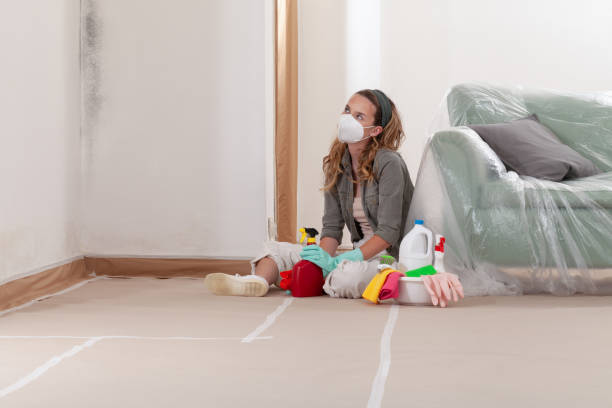 Reliable Black Mold Removal contractor in Arnold, MD by WQB Mold Removal